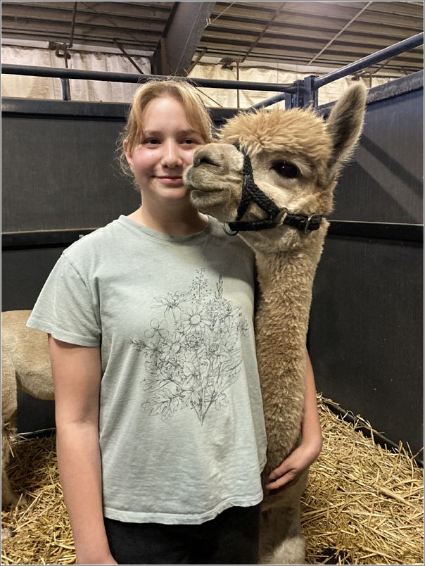 Alpaca and friend from the Olympic Peninsula Alpaca Rescue, Port Angeles, Washington. Their Mission Statement: The Mission of the Olympic Peninsula Alpaca Rescue is to provide a safe haven, rehabilitation center and rehoming program for camelids while promoting educational programs targeting youth, disabled and veteran clientele. Visit: https://opalpacarescue.wordpress.com/ Photo: Evelyn Taylor.